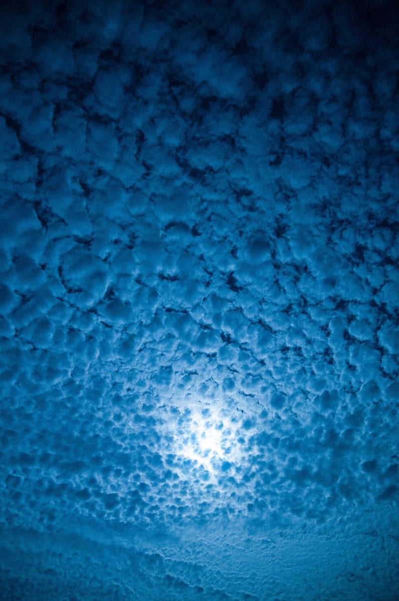Moonlit Wedding